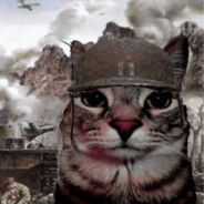 bulbulbl - steam id 76561199524364864