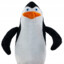 Milanul (Kowalski φ)
