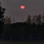 打死你个鳖孙儿