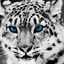 White Panther