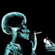 爹丶永远的神✌