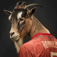 CRR7 - steam id 76561199801094705