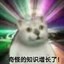 肥宅企鹅