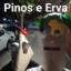 PINOS E ERVAS