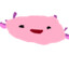 InvertedAxolotl