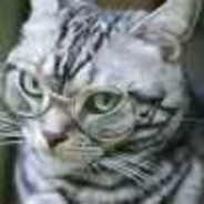 不夜城的迷途猫