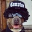 EAZY-E DOGZ