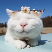 ❀✿千尺ㄖ丂ㄒ✿❀ - steam id 76561198079297205