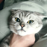 阿呆哈人不眨眼