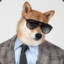 ShibeBoi