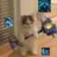 gachi