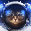 Catonaut