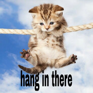 iminaMlgEdit