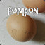 pompon7721