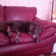 Snoozer - steam id 76561197961804357