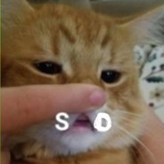 𝓧𝓐𝓝𝓣𝓐𝓡𝓔𝓢