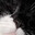 loke