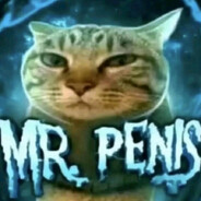 Mr. Penis avatar