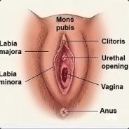 beeeeeeeeeeeeeeeeeeeeeeeeeeeeeee