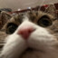 Cassiopeia's avatar