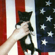 デニス-クール ™