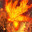 Ardor Blossom Moth's Avatar
