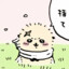 魔法小猫