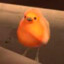 Pootis bird