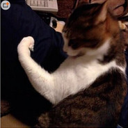 GGG76561198409105889