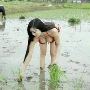 #۞۞ツMaryツ۞۞_AnnE™_____¸.•'¯)MaNi