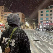 奈何夏天下了雪