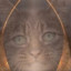 Archcatos