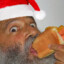 Chrismas Hotdog