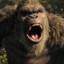KONG