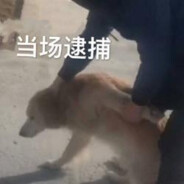 犹豫就败北