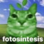 fotosíntesis