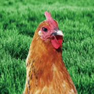 我是跳伞指挥官我指挥谁跳伞谁就要跳伞