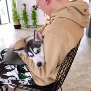 喜欢唱跳rap的篮球生