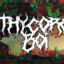 Thycoreboi TTV