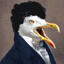 SirSeagull