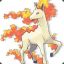 Rapidash