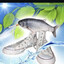 NewportSmokingFreshFish