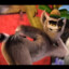 King Julien