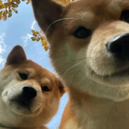 你是恩赐亦是劫