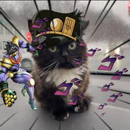 Джо Джо кот