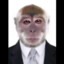 Pipipi