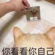 掌控雷电电死你个傻逼