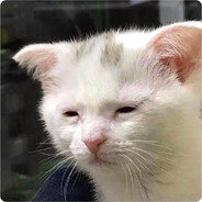 Night_Meowl