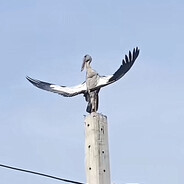 𝓜𝓬𝓓𝓸𝓬𝓴𝓷𝓪