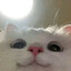 Brröd